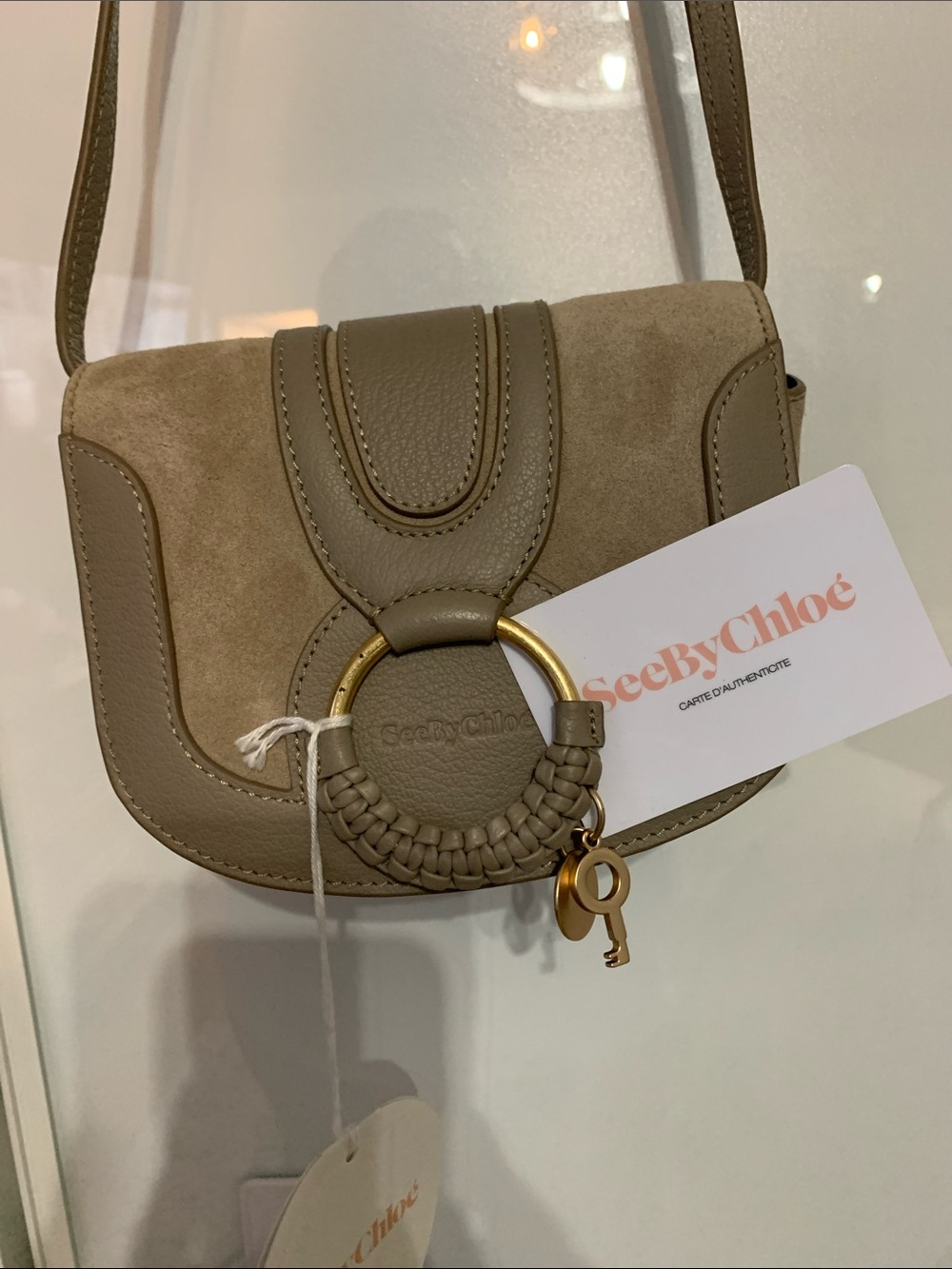 Taupe Crossbody Saddle Bag with Gold Ring Accent - Picture 9 of 12